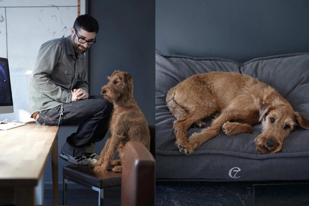 Luxury Dog Beds, Designer Dog Beds Sydney, Melbourne, Australia