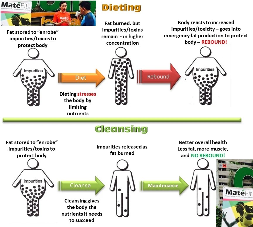 MateFit Guru Detox vs Cleanse Definitions Tips To get rid of Toxins...