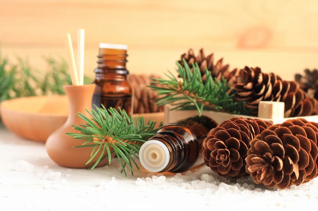 Kardish Team Winter Aromatherapy 101 Did you know