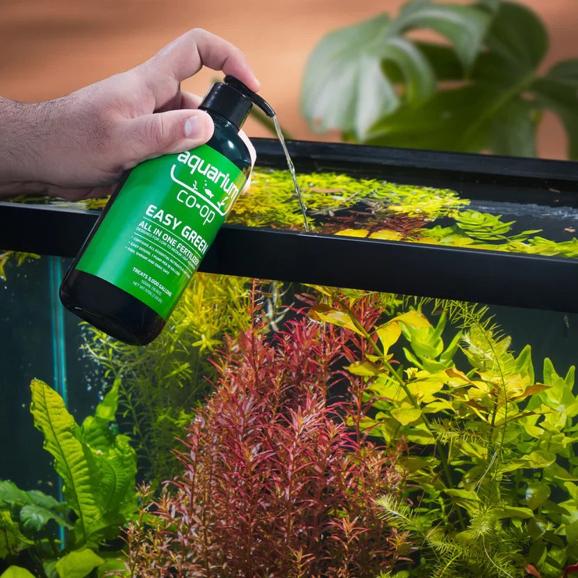 How to Pick the Best Substrate for a Freshwater Planted Aquarium 