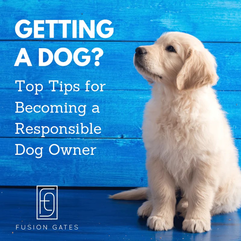 Getting a Dog? Here's How to Be a Responsible Dog Owner Fusion Gates
