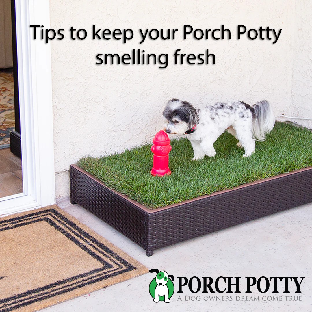 Tips to keep your Porch Potty smelling Fresh Porch Potty UK