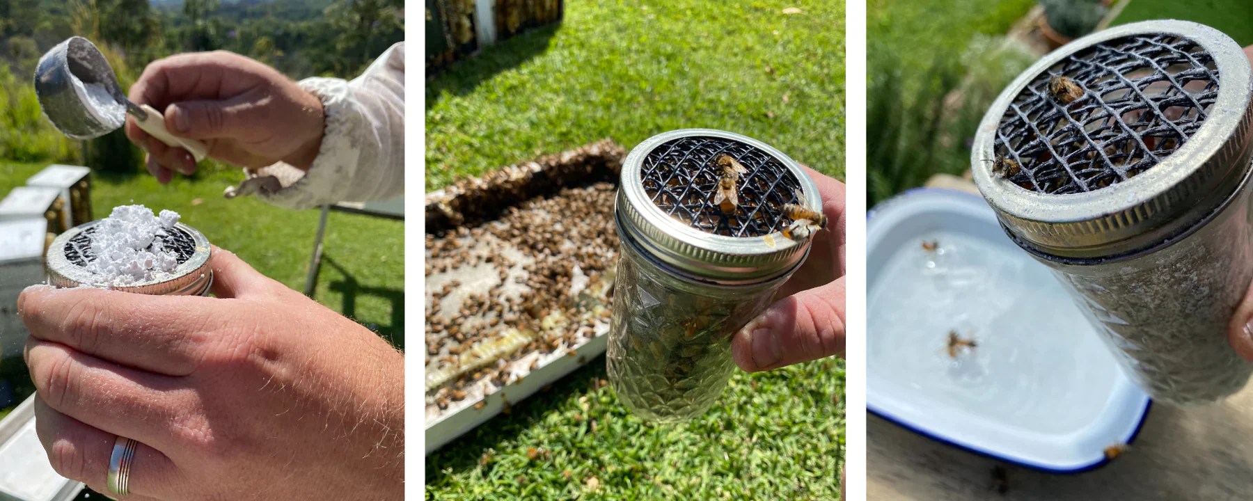 The Varroa Mite Sugar Shake Method