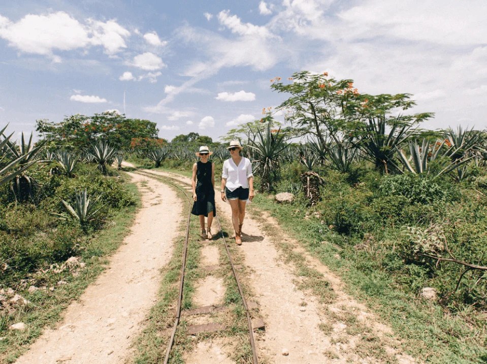 The Road to Mexico The Citizenry