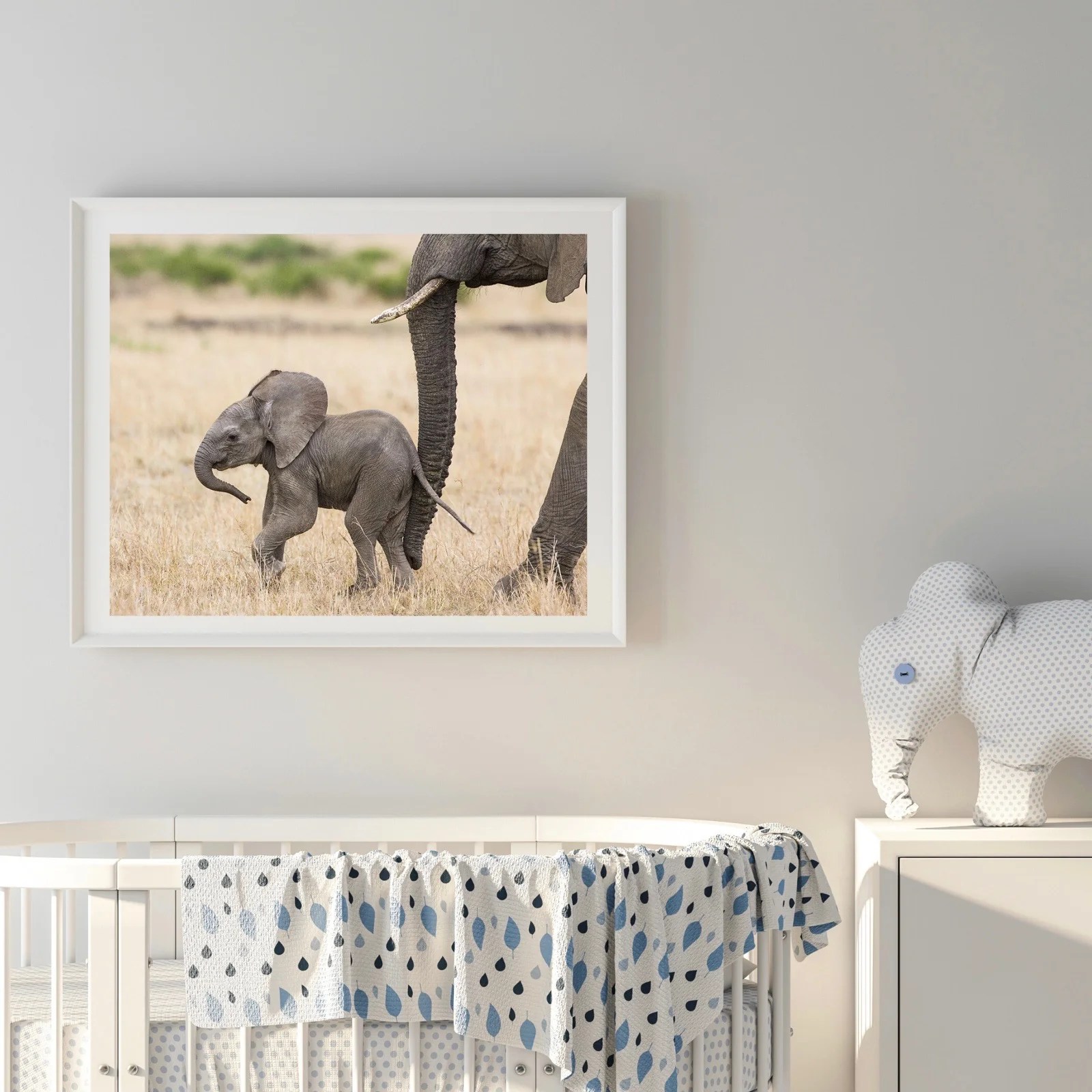 Baby Animal Prints by Suzi Online Art Gallery and Store