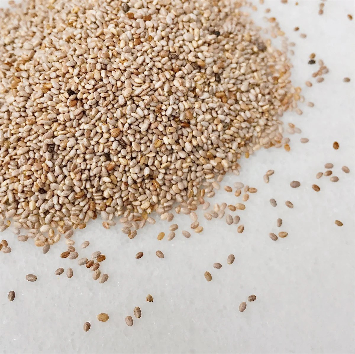 Sprouting Chia Seeds NUT • HUT