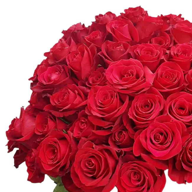 Romantic Valentine’s Day Flowers For Your Loved One Pick Your Favourite