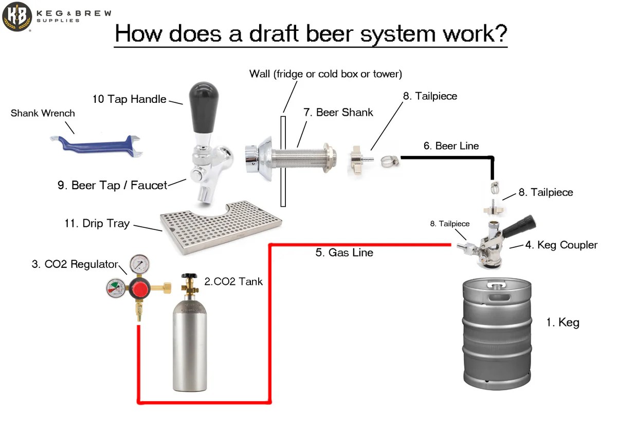 How does a Kegerator system work? Keg & Brew Supplies