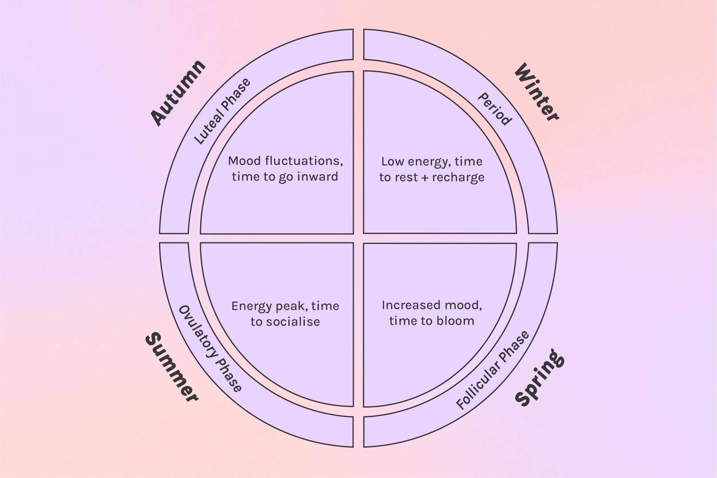 4 Stages of the Menstrual Cycle VUSH Wellness US
