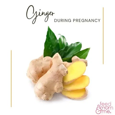 The Benefits Of Ginger During Pregnancy – feedmomandme