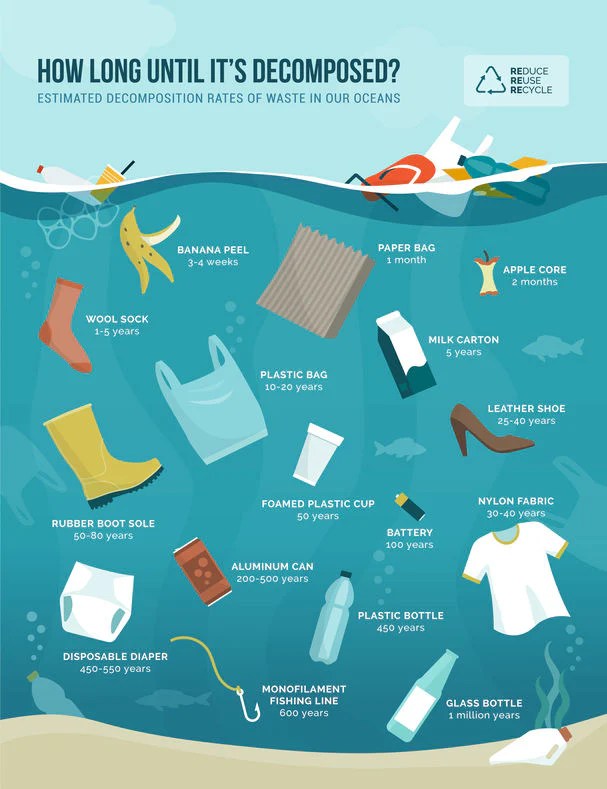 How Long Does It Take For Biodegradable Packaging To