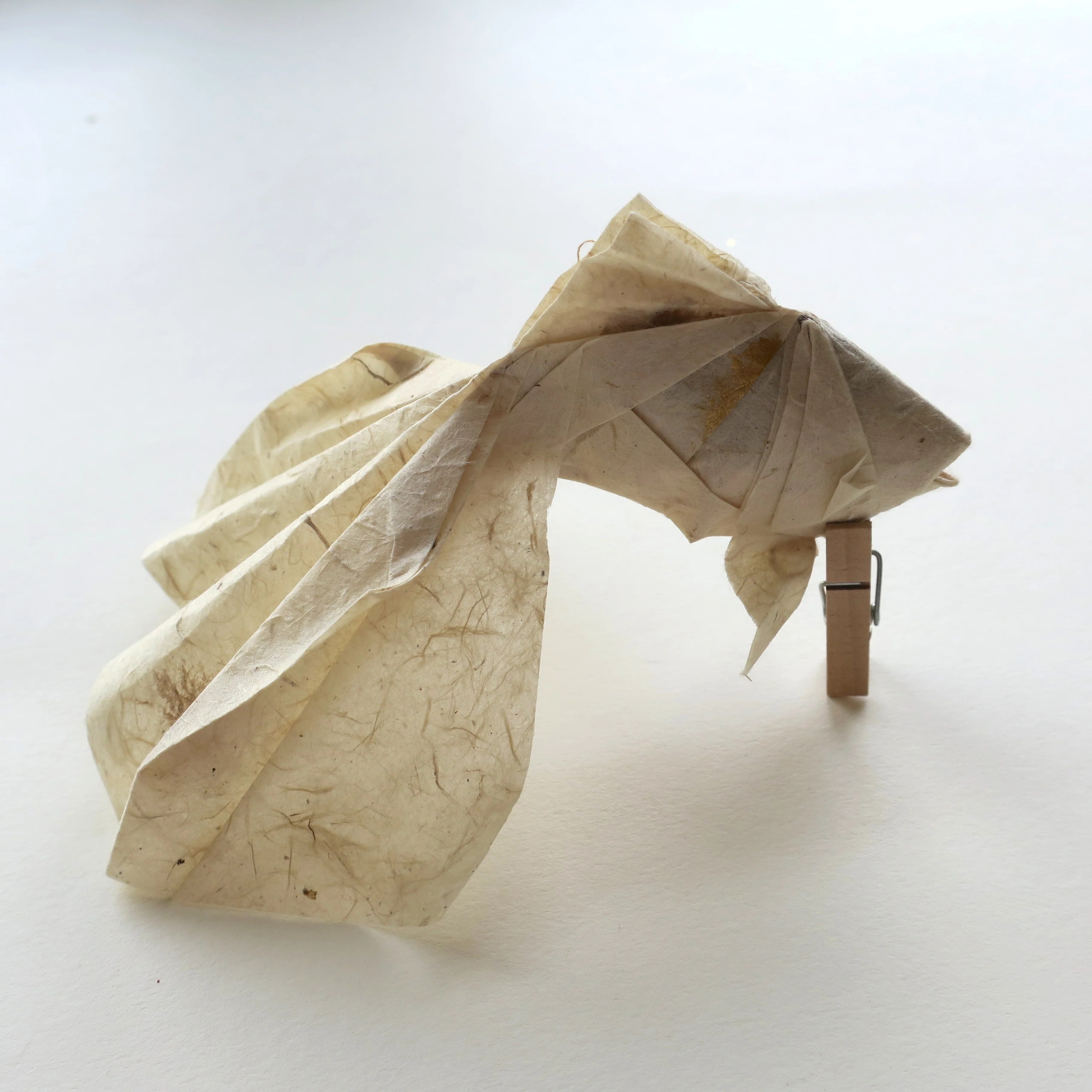 ORIGAMI GOLDFISH (DESIGNED BY TA TRUNG DONG) Lavender Home C&S Ltd