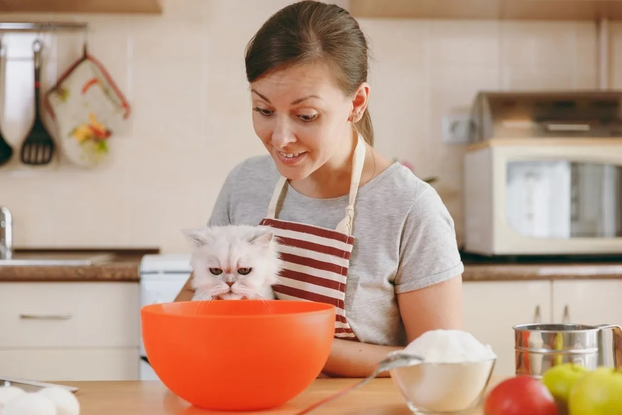 Can You Make Cat Food at Home? Houston Raw Pet Food