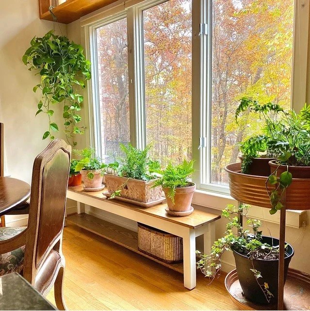 Real Wood vs. Fake Wood Why Real Wood is the Better Choice for Your B