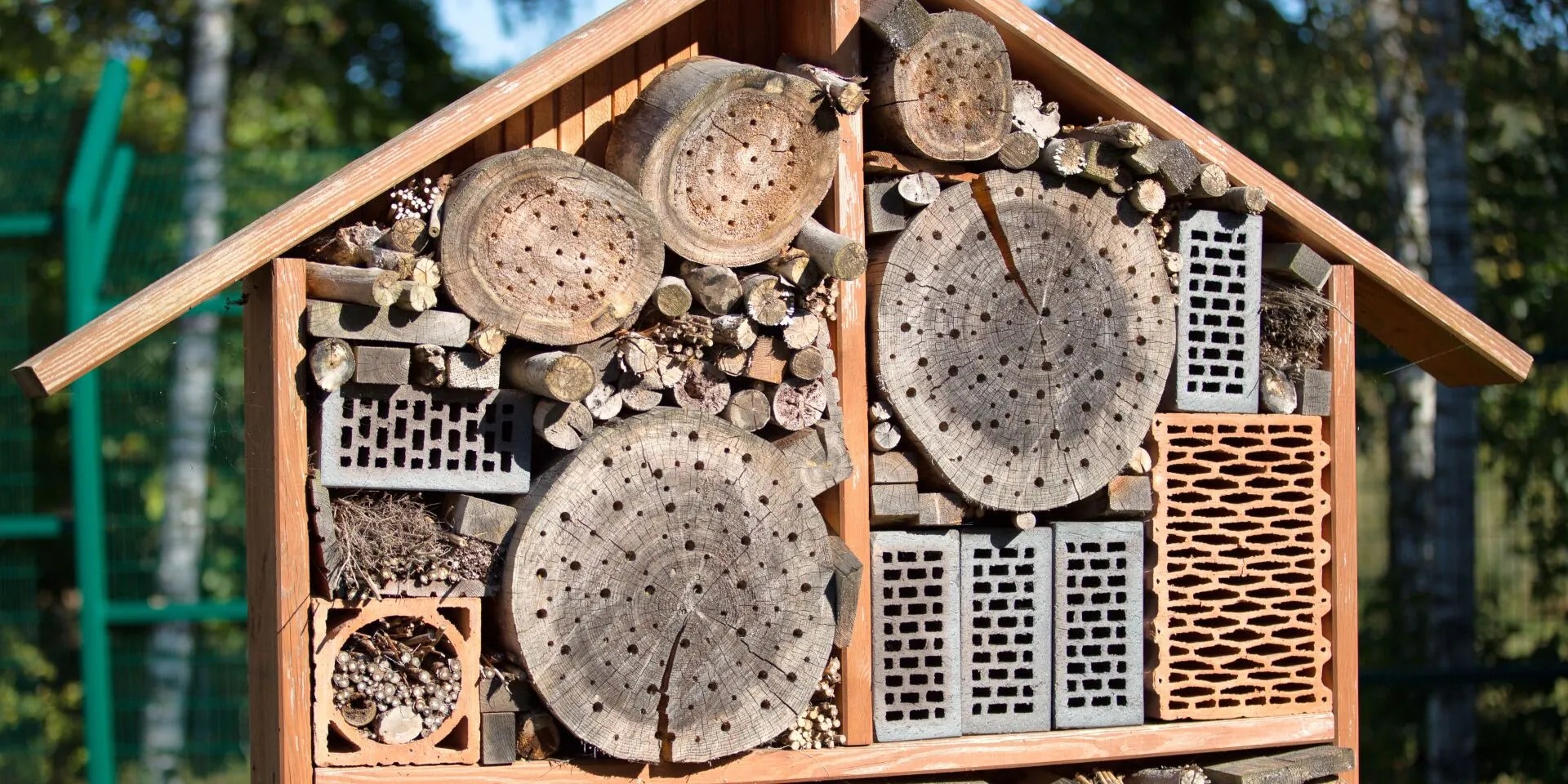 How to Build an Insect Home Beevive