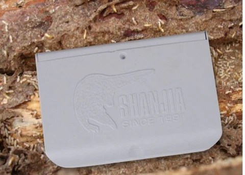 Termite Queen Termite Colony For Sale
