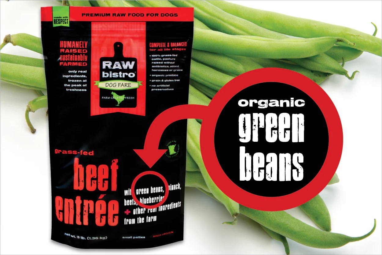Can Dogs Eat Green Beans? Benefits of Green Beans for Dogs Raw Bistro