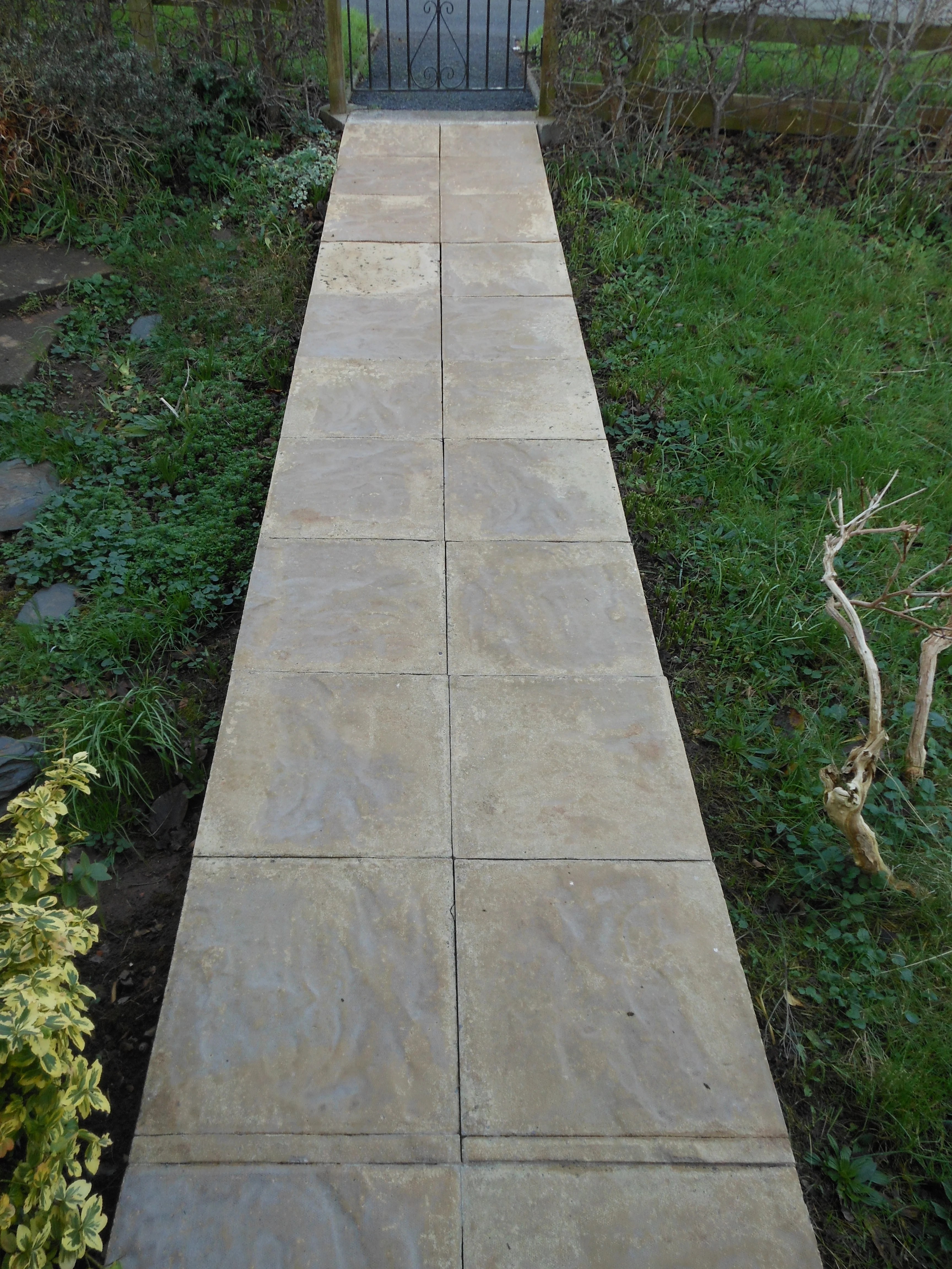 How to remove lichen (including "black spot") from concrete, brick, re