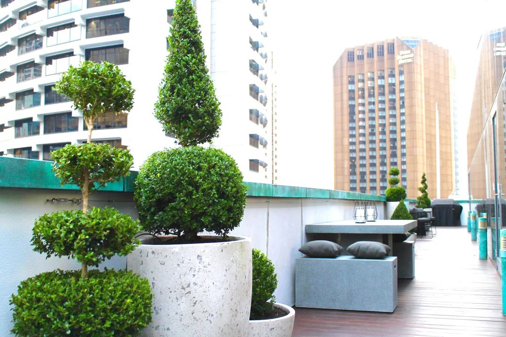Large Outdoor Pots Sydney Terrace Outdoor Living