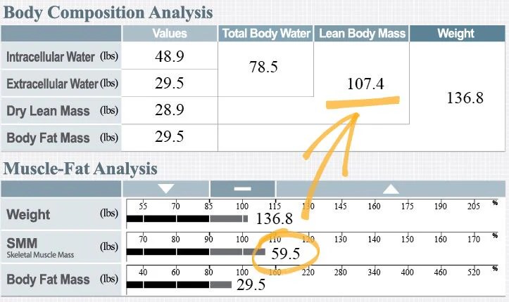 A Regular Strength Training Program Increases Resting Metabolic Rate