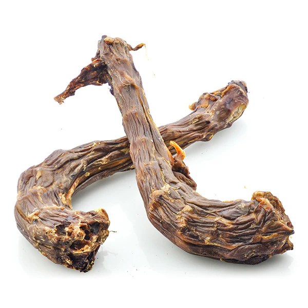 Are Turkey Giblets Bad For Dogs