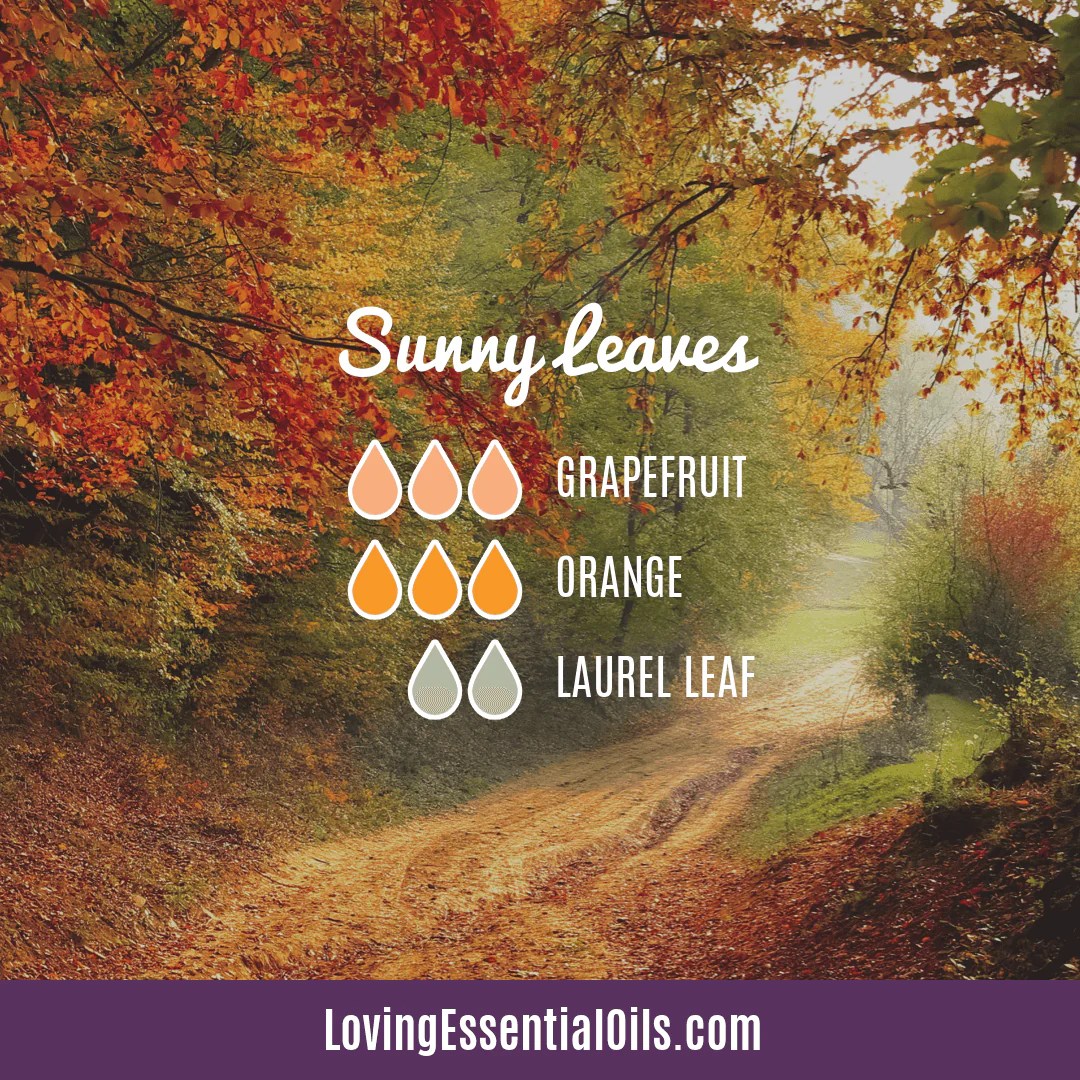 Laurel Leaf Diffuser Blends with Essential Oil Diffusing Benefits