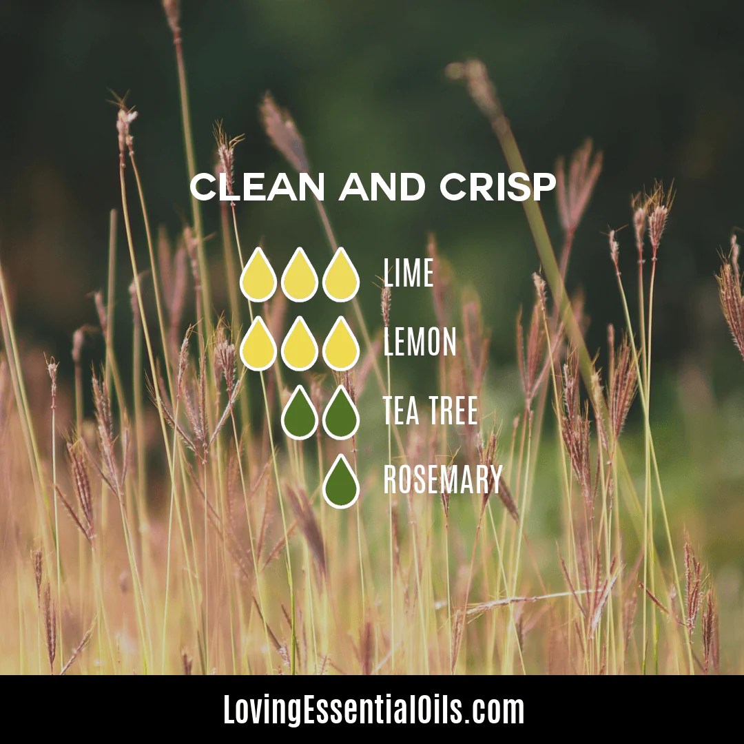 Lemon and Tea Tree Essential Oil Blend Benefits Loving Essential Oils
