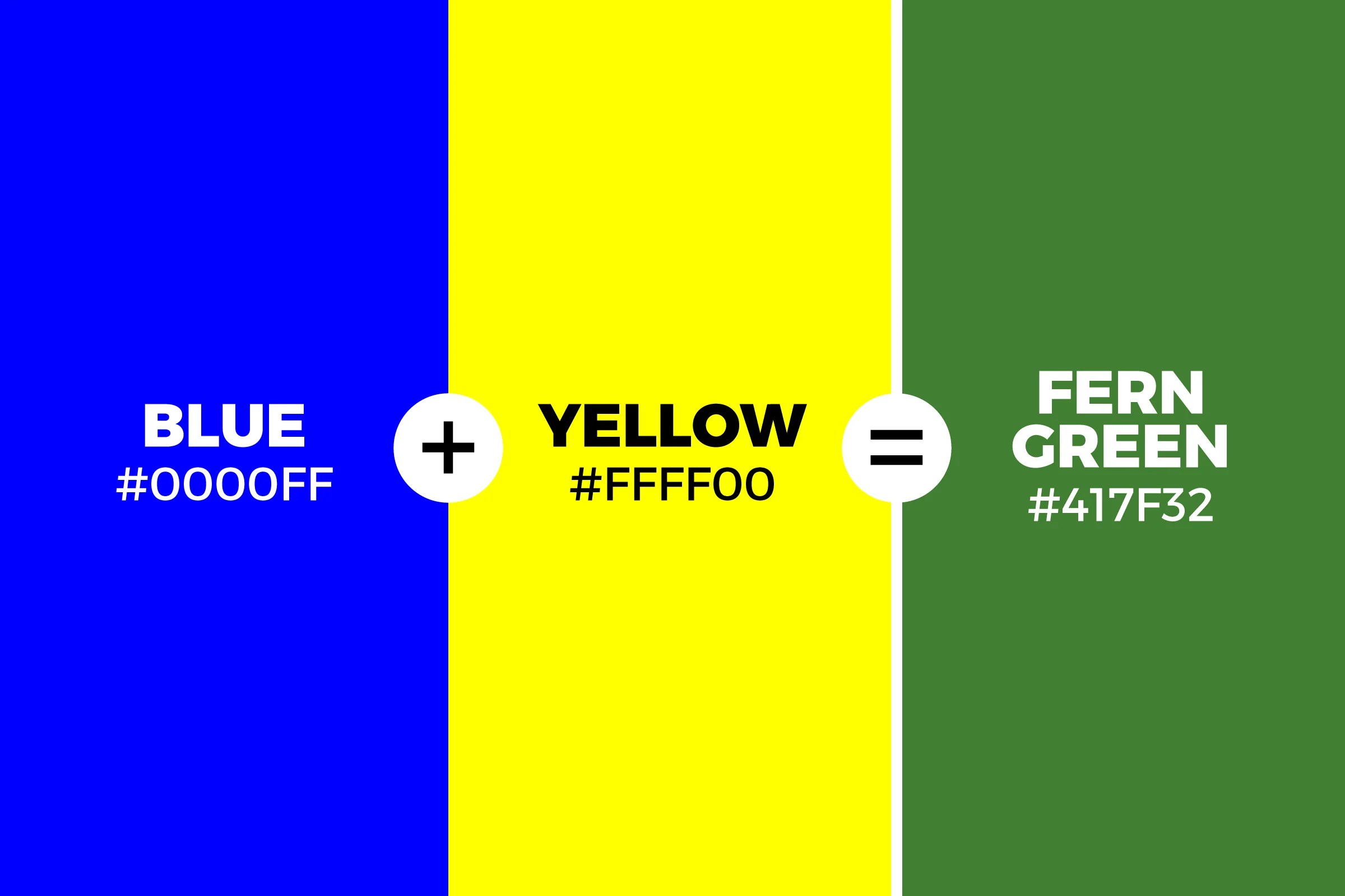 What Color Does Blue and Yellow Make When Mixed Together | Pita Bloom
