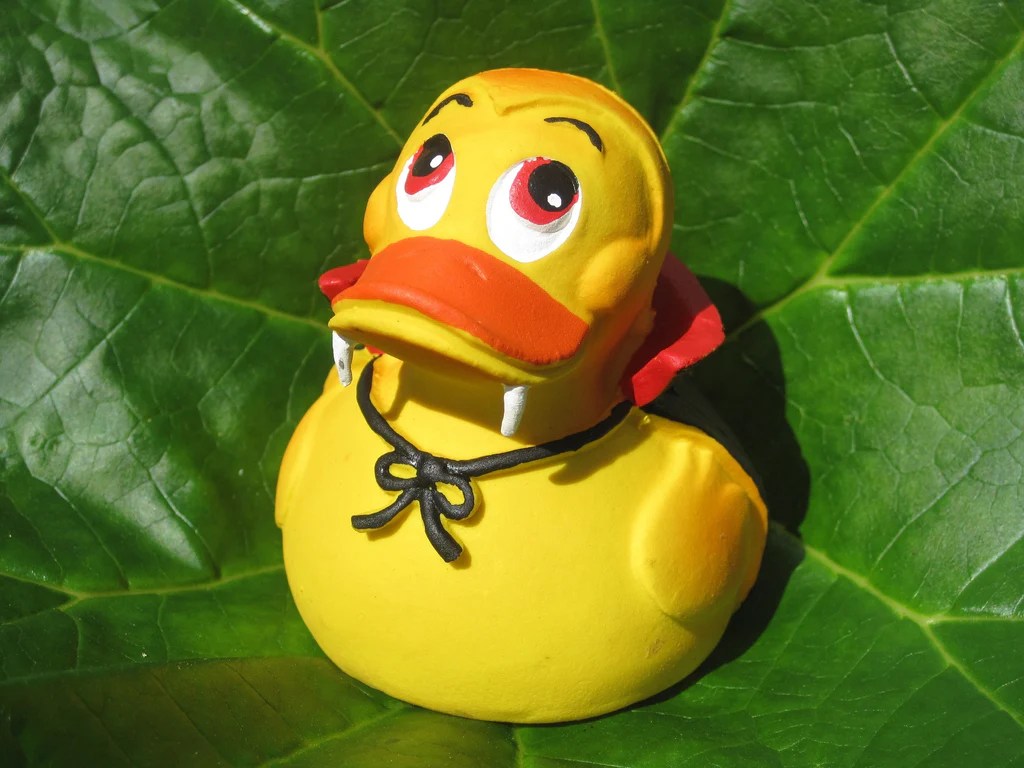 Dracula Vampire Latex Rubber Duck From Lanco Ducks. Ideal for Halloween