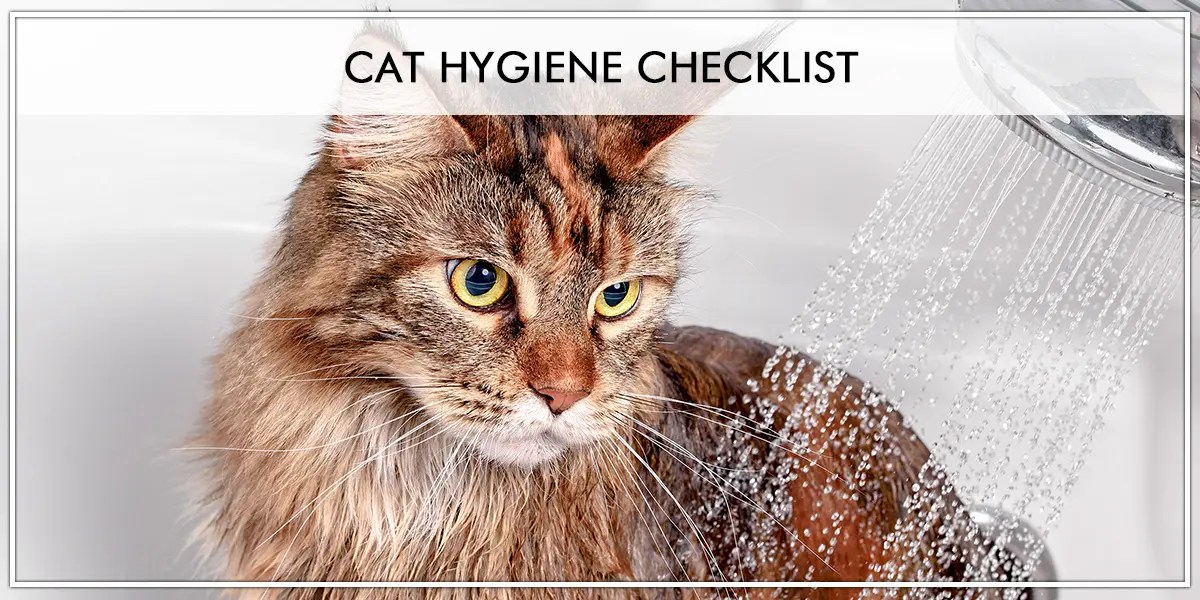 Cat Hygiene checklist Pawsindia