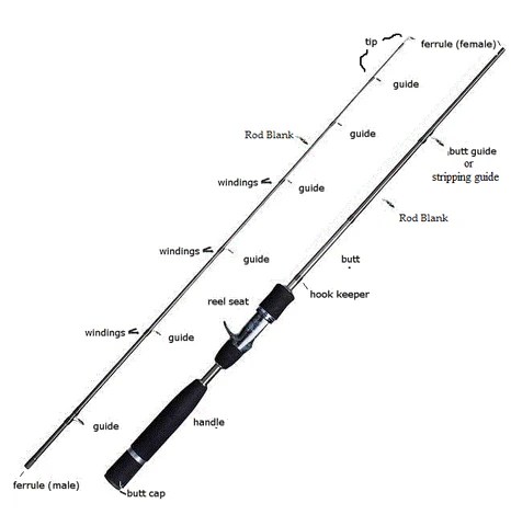 Fishing Rods: Guide For Buying New Rods | Hunting and Fishing Depot