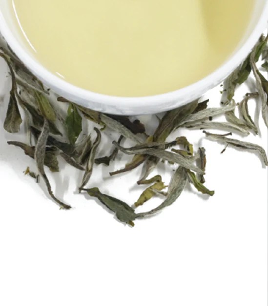 Ultimate Tea Brewing Guide How to Make 7 Types of Tea Harney & Sons