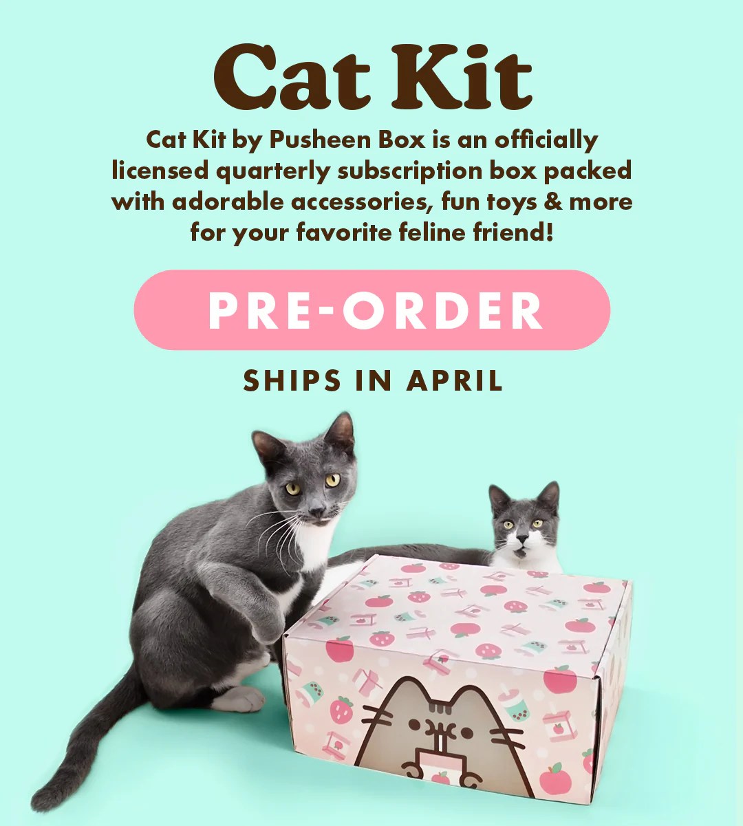 Pusheen Box The Favorite Cat!