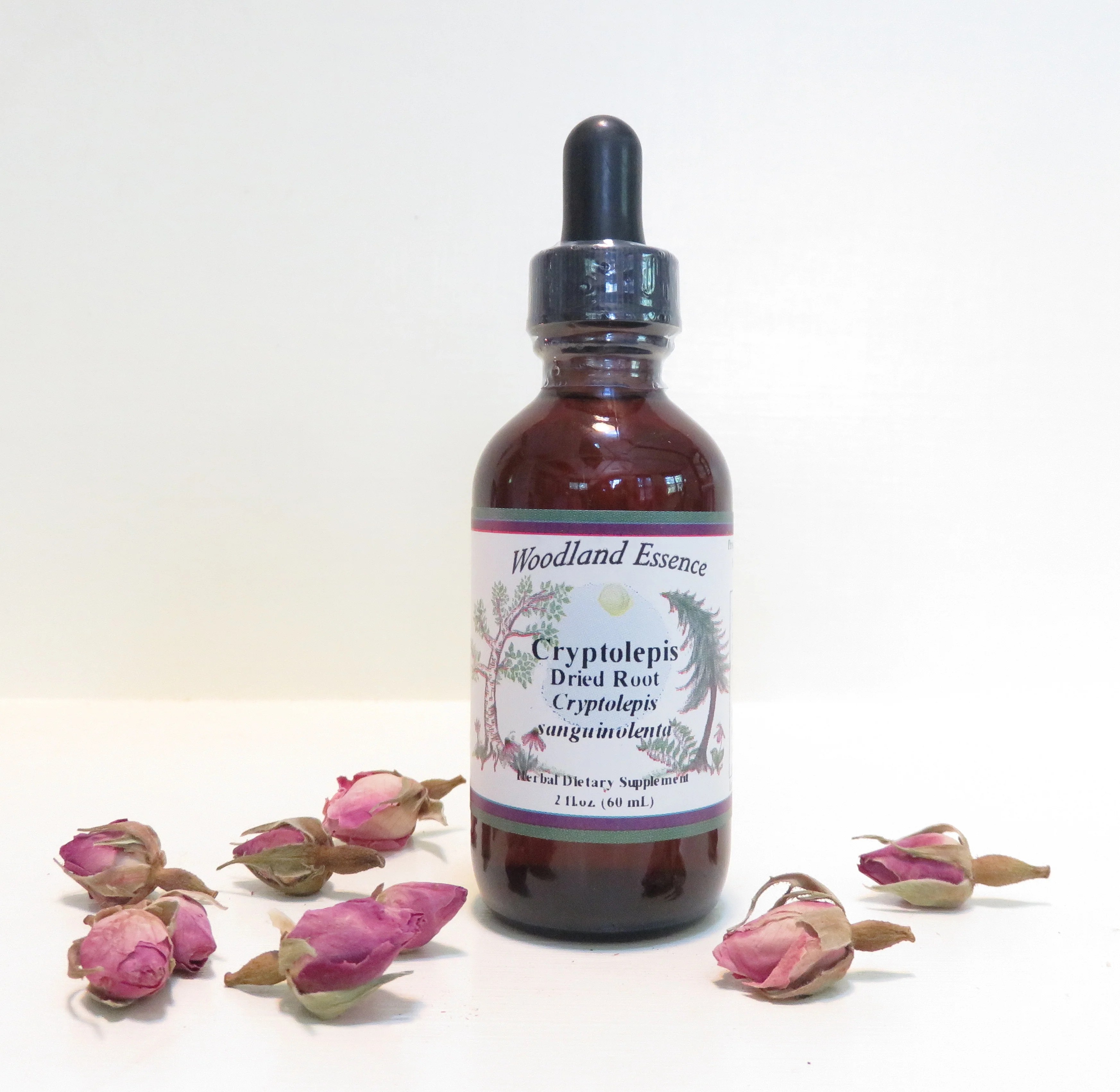 Cryptolepis Root Extract Woodland Essence