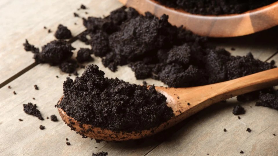11 Ways to Recycle Old Coffee Grounds J.L. Hufford