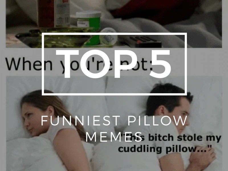 Top 5 Funniest Pillow Memes Pillow Guy