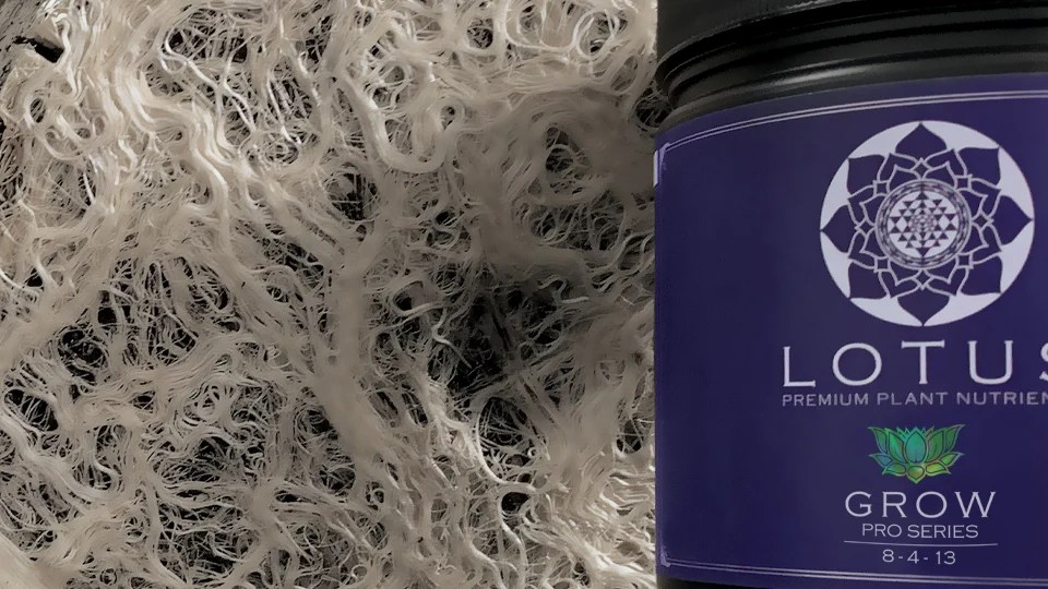 Lotus Grow Nutrients, Grow Series, Cannabis Hydroponic Nutrient