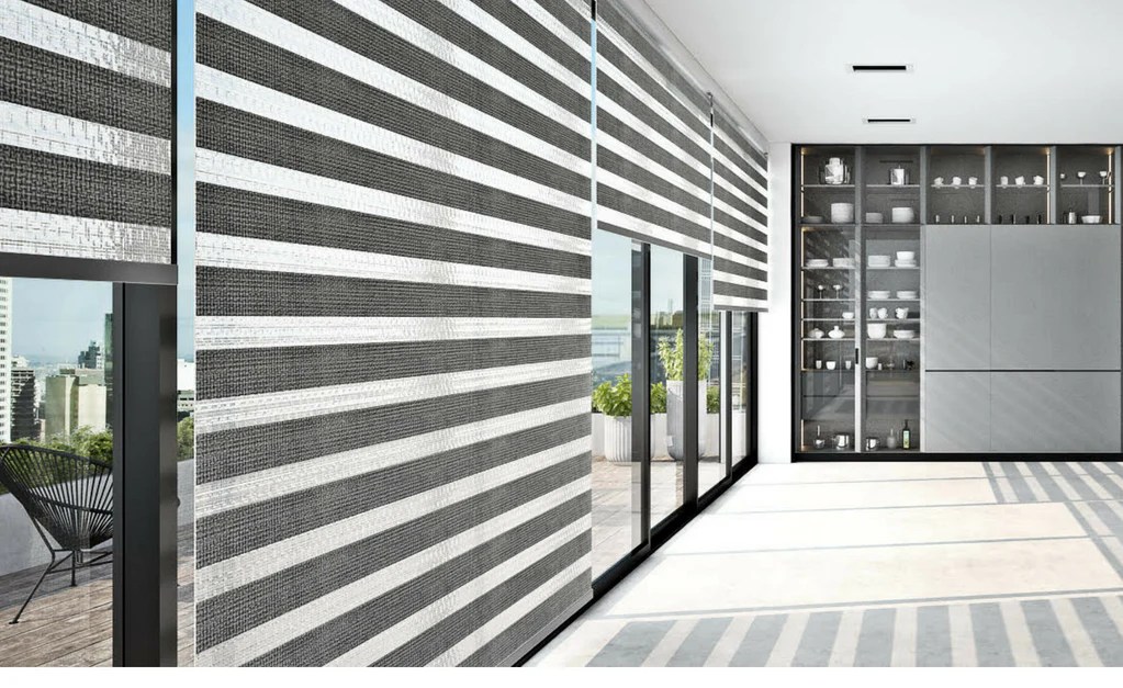 Introducing Zebra Shades The Ins and Outs Alva