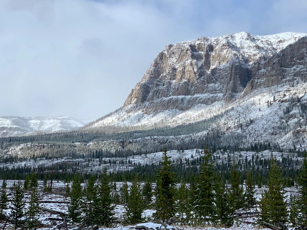 Hunt Deer in Wyoming with Thorofare RedSnake Tactical