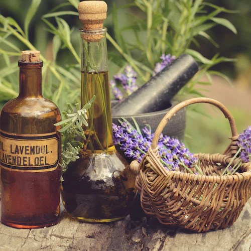 What is Linalool? Uses and Benefits of Linalool in 2020 Abstrax Tech