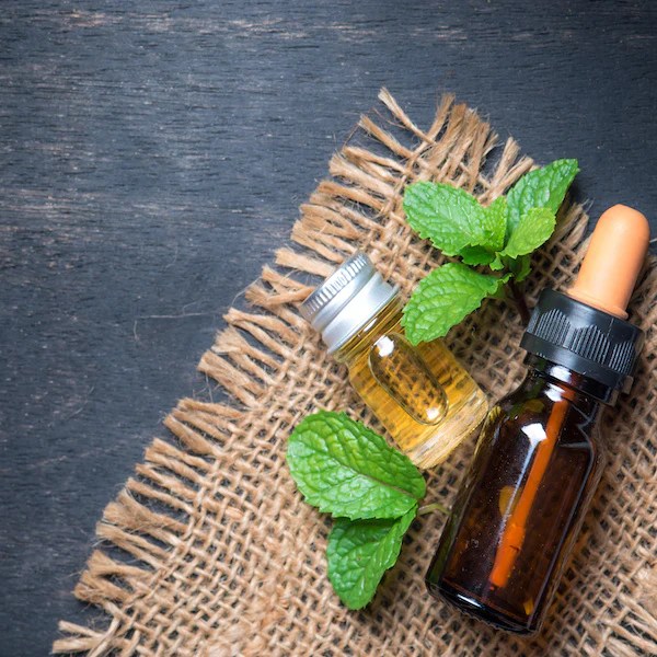 Solvent vs. Solventless Terpene Extraction How to Extract Terpenes