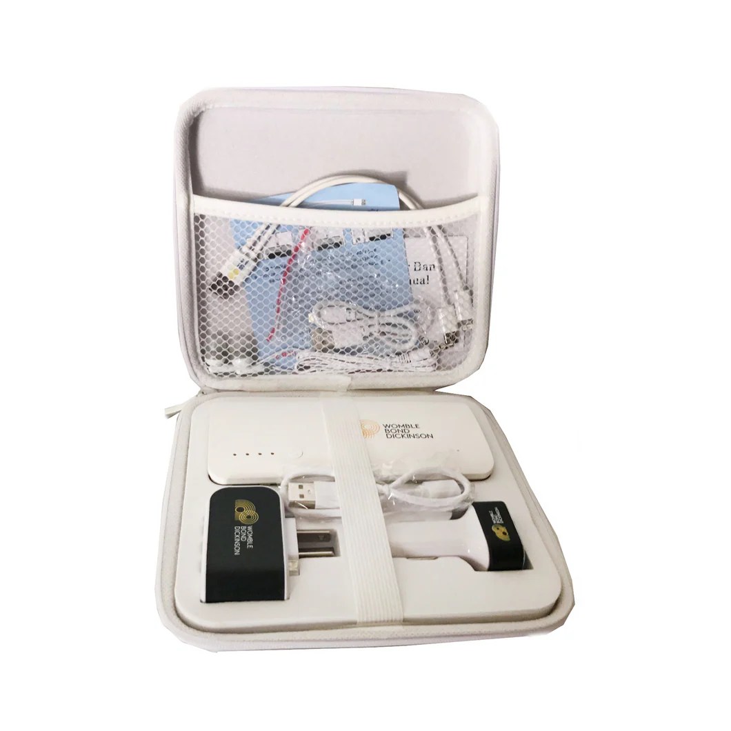 Travel Tech Kit Womble Bond Dickinson (US) LLP