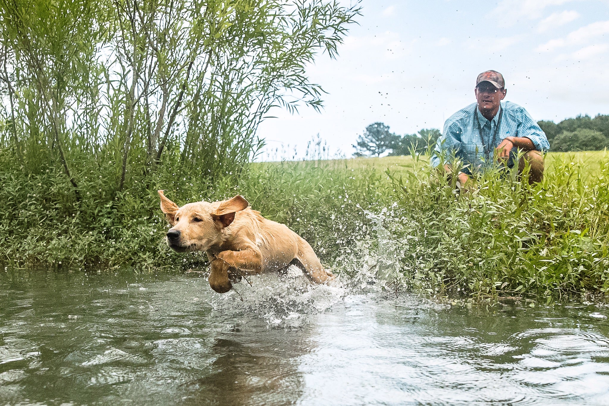 Image1.jpeg?v=1558872005