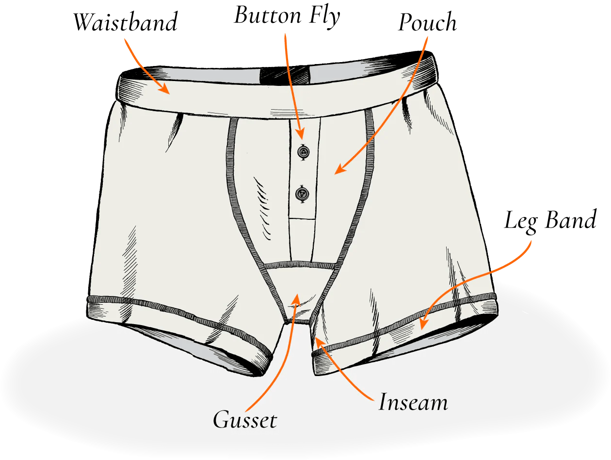 101 Guide on underwear anatomy and construction⎪Etiquette