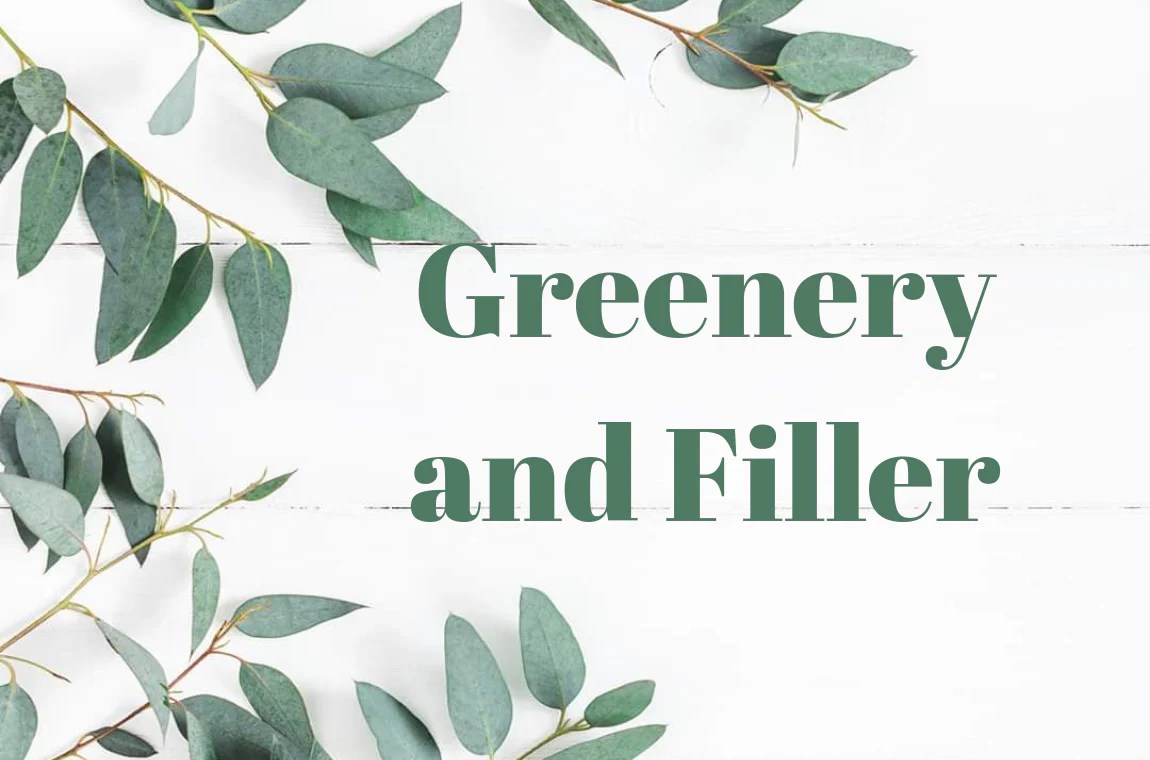 Filler Combinations Luv Sola Flowers