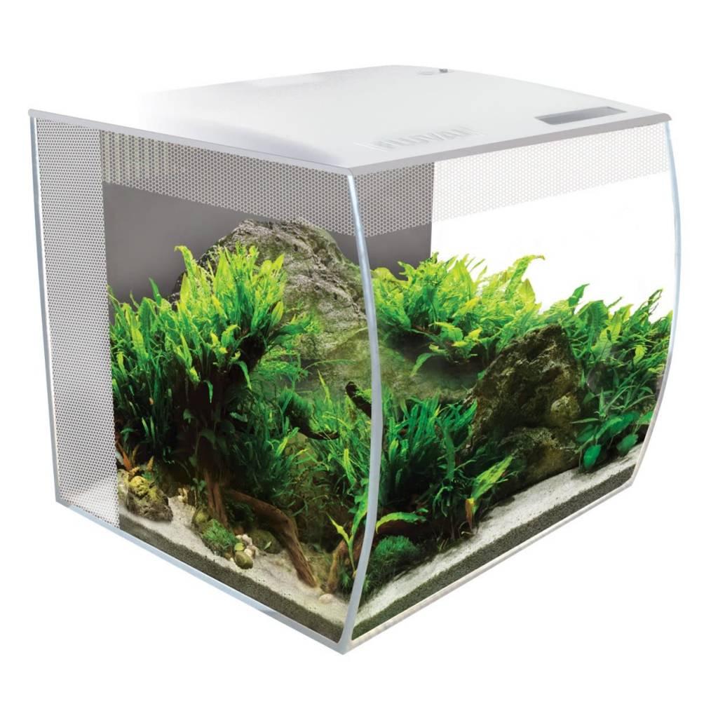 Fluval FLEX Aquarium Kit 15 Gallon White Aquarium Illusions Inc