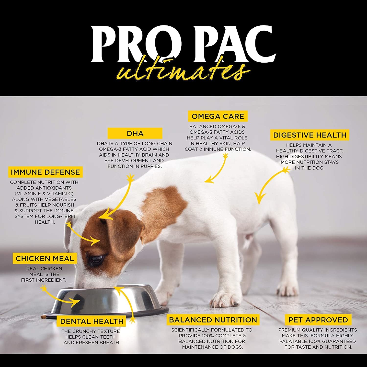 Pro Pac Puppy Food Ingredients Pro pac large breed puppy er et 100
