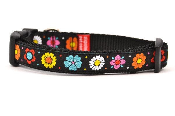 Six Point Pet Daisy Chain Collar Black XSmall Ruff Haus Pets