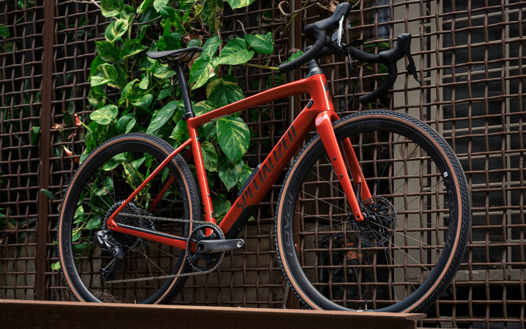 Diverge Pro Carbon 20204