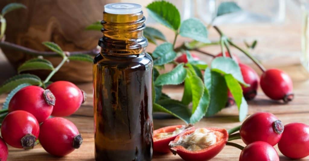 Powerful Antiaging Face Serum Recipe with Incredible Rosehip Oil Benefits for Your Skin